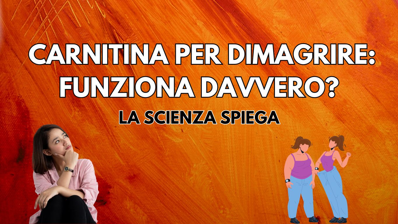 l carnitina per dimagrire Carnitina: a cosa serve e come assumerla main image 1