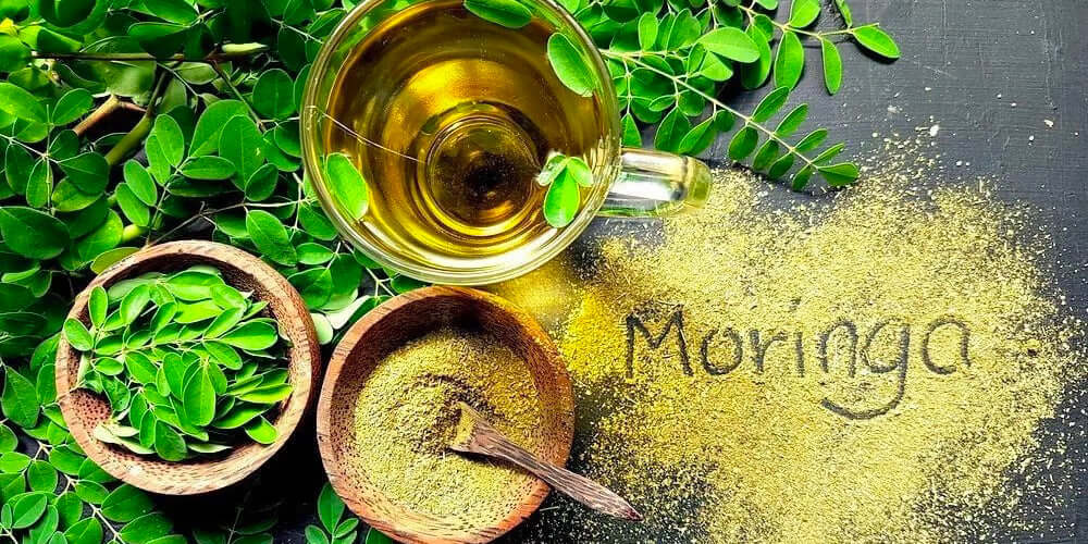 Olio di moringa: una bomba di bellezza e benessere