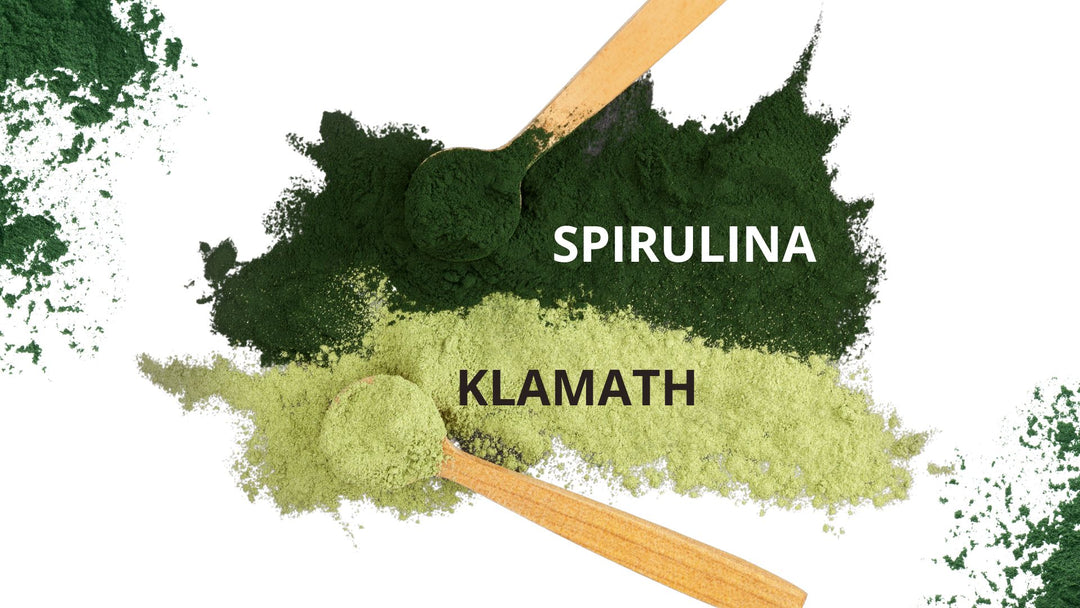 ALGA KLAMATH O ALGA SPIRULINA? QUAL E’ MEGLIO!