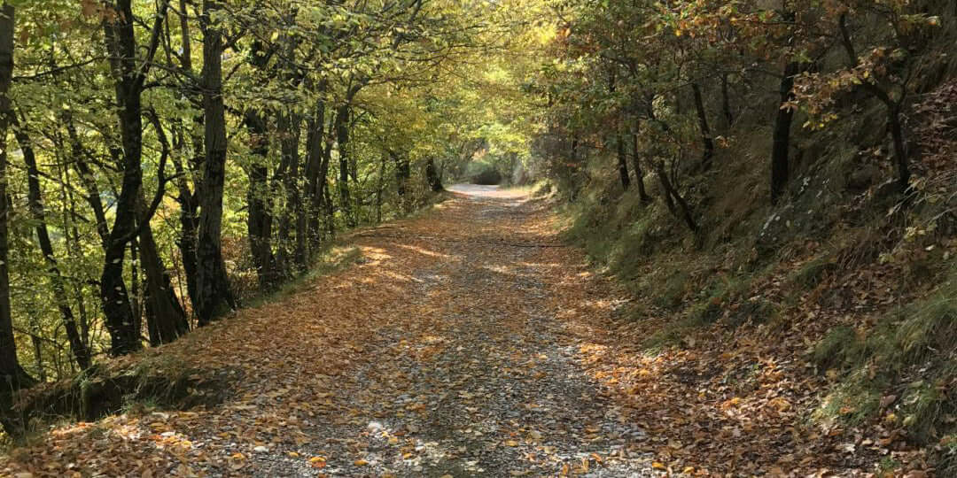 Cambio di stagione: rimedi e consigli