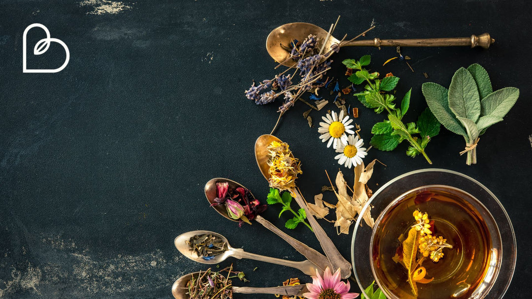 A cosa servono le tisane drenanti e quali sono i loro benefici?