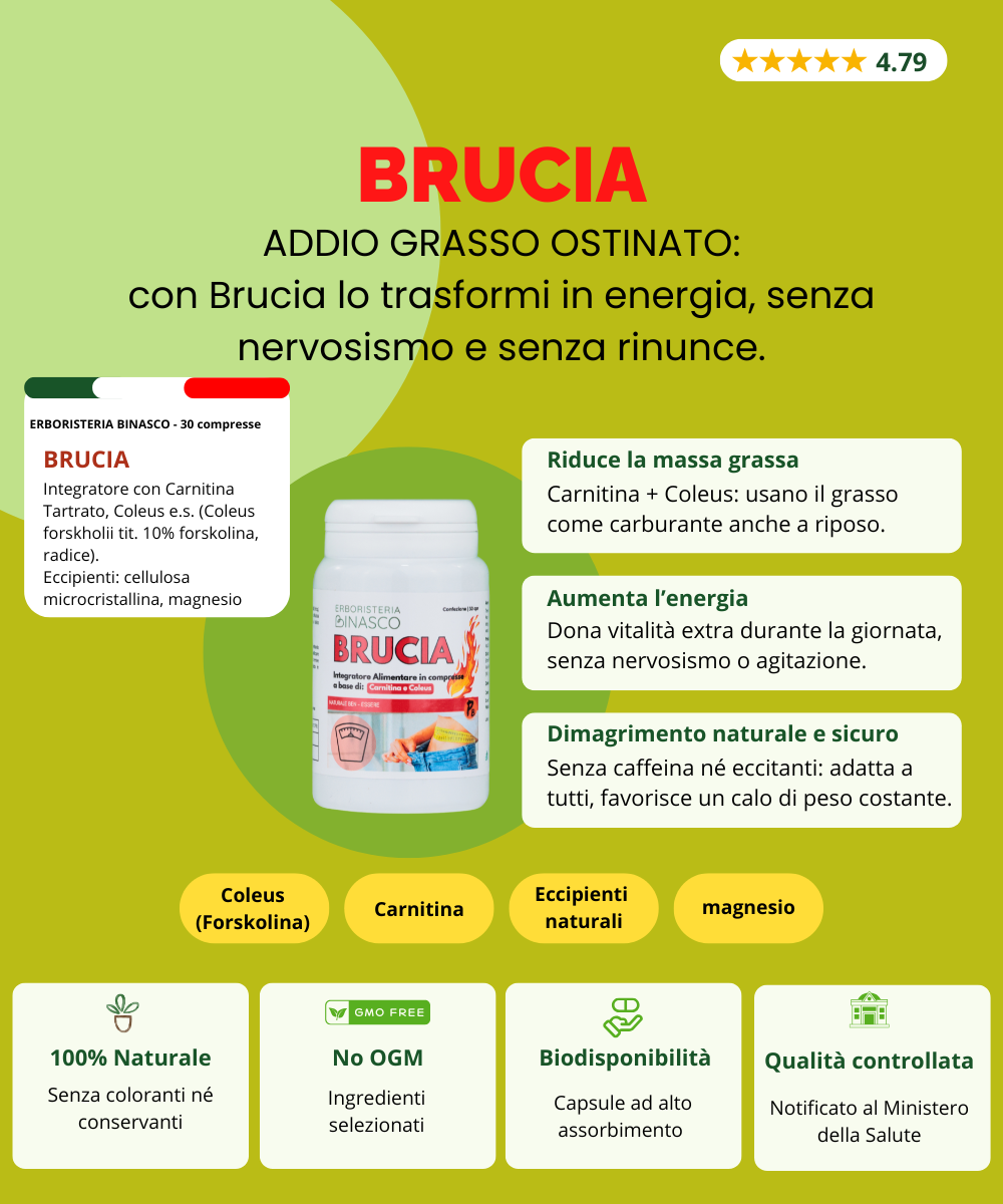 Brucia
