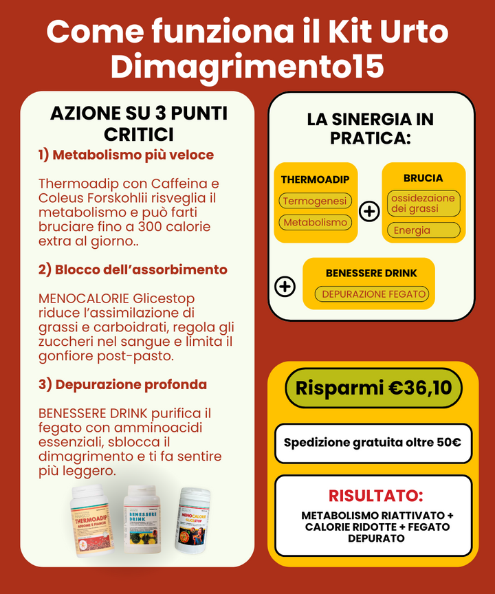 Kit Urto Dimagrisci15