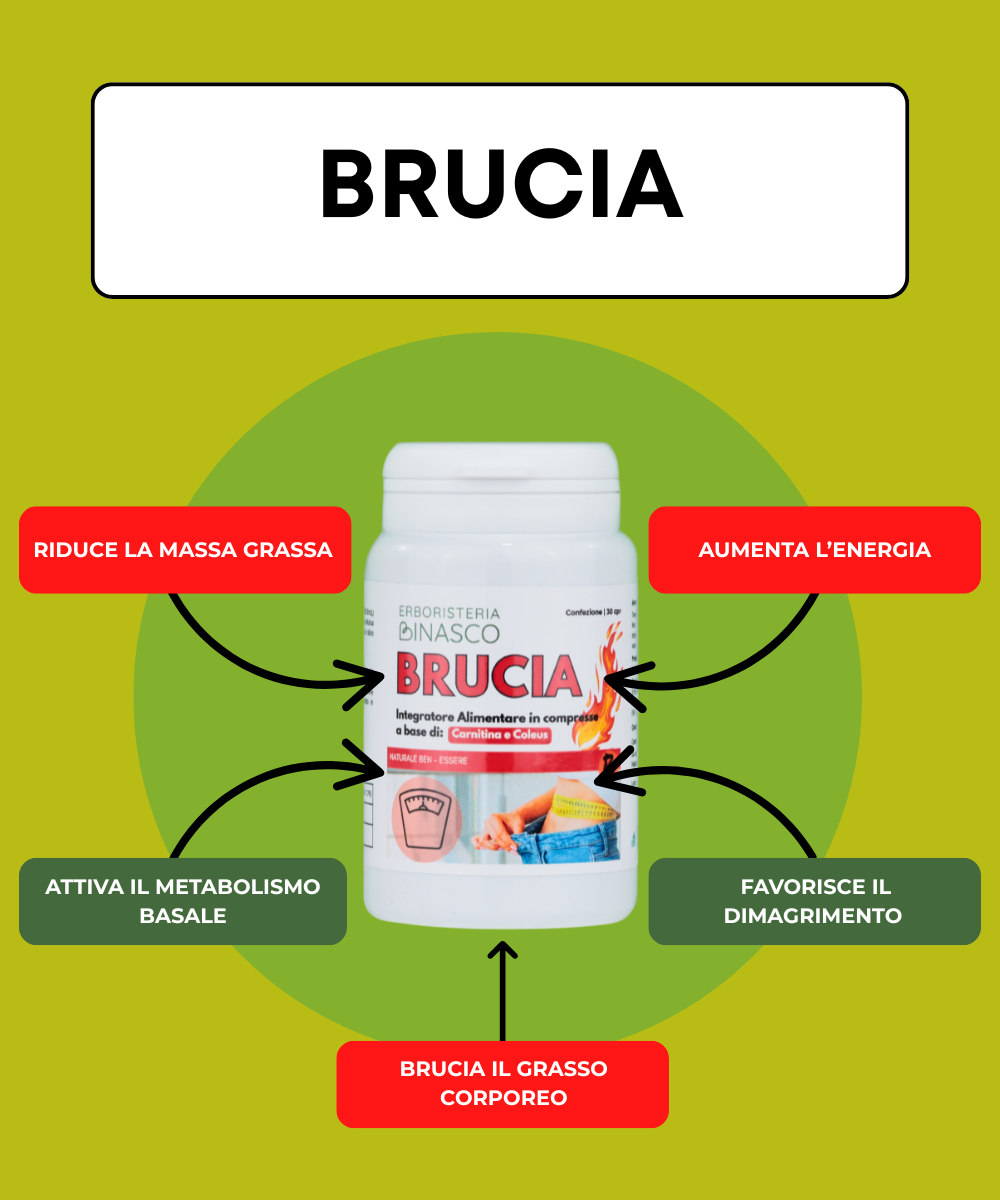 Brucia