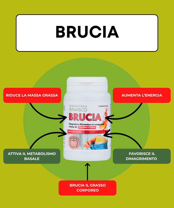 Brucia